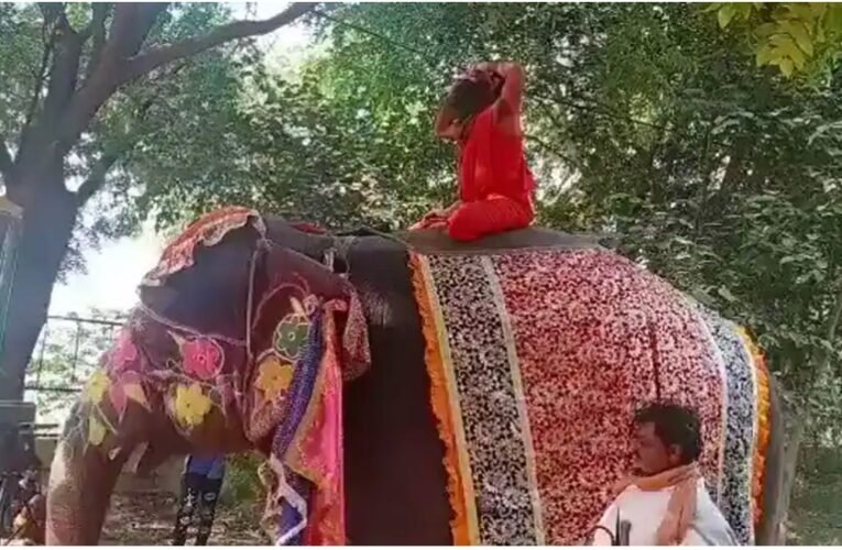 Baba Ramdev falls off elephant while performing yoga at Mathura camp